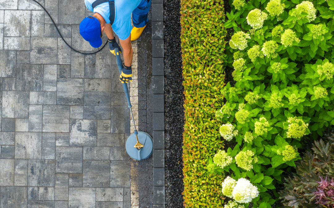 Revive Your Driveway: Discover the Best Local Cleaning Companies